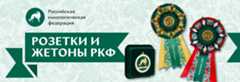 Главная