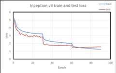 Inception V3 train and loss graph