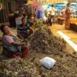 RootsandLeisure_faces