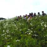 RootsandLeisure_Dzükou Valley_7