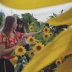 Rootsandleisure_Langol Peak Garden_Imphal