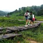 rootsandleisure_neniaarche_havenscove