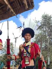 Rootsandleisure-hornbill-2022