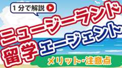 ニュージーランド留学エージェント