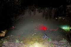 Mevo: 300 kar i trzy kradzieże w dwa lata. Będą zmiany?