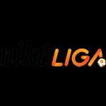 Super Liga Super Liga