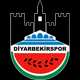 Diyarbekirspor
