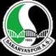 Sakaryaspor