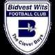 BidVest Wits