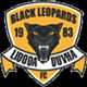 Black Leopards