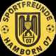 SF Hamborn 07