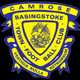 Basingstoke Town