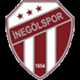 Inegölspor