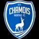 Chamois Niortais