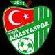 Amasyaspor FK