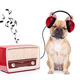 特撮の問題作といえば?