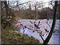 SO1695 : River Severn by Marion Phillips