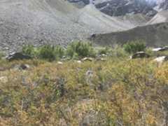 Photo ofOur Camp site where we stayed on our way to Lake