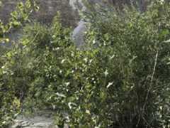 Photo ofEnd of water crossing