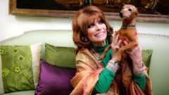 La Policía Nacional ha detenido a un hombre octogenario por el crimen de la cantante y actriz Encarnita Polo en una residencia de ancianos de Ávila, donde la artista residía en los últimos tiempos. Según ha podido saber EL MUNDO, el hombre la mató mientras dormía estrangulándola.El residente salió de su planta y estranguló a la cantante sevillana de 86 años, figura de la copla y el pop en la década de los 60 y 70 y especialmente recordada por la canción 'Paco, Paco, Paco'.