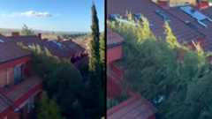 La sierra estará este sábado en alerta amarilla por nieve y naranja por viento, según AemetLa sierra permanecerá este sábado en alerta amarilla por nevadas a partir de los 1.100 o 1.200 metros de altitud y en alerta naranja por fuertes rachas de viento, según ha informado la Agencia Estatal de Meteorología (Aemet). El temporal ha provocado ya la suspensión de varias líneas de autobús y las autoridades recomiendan evitar desplazamientos innecesarios en esta zona.De acuerdo con la predicción meteorológica, el episodio de viento se mantendrá activo hasta las 15:00 horas, con rachas que podrían superar los 100 kilómetros por hora en áreas de la sierra. Esta situación ha llevado a activar el aviso naranja por riesgo importante en zonas de montaña, mientras que en el área metropolitana y el Corredor del Henares se mantiene el aviso amarillo por fuertes vientos.Además, la cota de nieve se situará entre los 1.100 y 1.200 metros, lo que podría afectar a puertos de montaña y carreteras secundarias. Las autoridades insisten en extremar la precaución, consultar el estado del tráfico antes de viajar y seguir las recomendaciones oficiales para evitar incidencias durante este episodio de meteorología adversa.