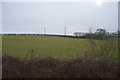 SO1291 : Farmland near Newtown by N Chadwick