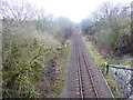 SO1695 : View over the railway bridge parapet near Abermule by Jeremy Bolwell