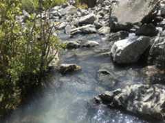 Photo ofNatural Bath