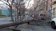 La borrasca Nils está azotando con intensidad a Cataluña, donde las fuertes rachas de viento han provocado múltiples incidencias a lo largo de la jornada. Varias personas han resultado heridas por la caída de árboles y otros elementos del mobiliario urbano, según han informado los servicios de emergencia.El temporal ha afectado de forma significativa al transporte. En el Aeropuerto de Barcelona-El Prat se han registrado cancelaciones y retrasos debido a las condiciones meteorológicas adversas. Además, el servicio de Rodalies ha sufrido nuevos cortes y alteraciones, que se suman a las interrupciones ya previstas por trabajos en la red ferroviaria.Ante la situación, la Generalitat ha decidido suspender las clases en varios puntos del territorio como medida preventiva. También se ha paralizado la actividad sanitaria no urgente para garantizar la seguridad de pacientes y profesionales y priorizar posibles emergencias derivadas del temporal.Protección Civil mantiene activadas las alertas por viento y recomienda evitar desplazamientos innecesarios, extremar la precaución en zonas arboladas y seguir las indicaciones oficiales mientras dure el episodio de fuertes rachas asociado a la borrasca Nils.