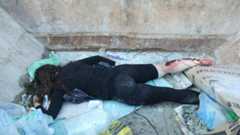 Otra imagen de Naturaleza Muerta.