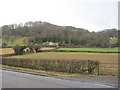 SO1695 : View across fields from Abermule road junction by John Firth