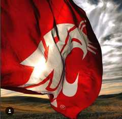 The WSU Cougar head flag flapping in the wind. 