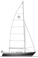 FREEDOM 42