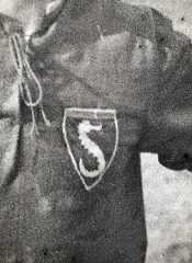 Primo stemma ippocampo maglia storica