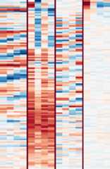Closeup of filters 14, 242, 250 and 253.