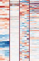 Closeup of filters 1, 2, 4 and 28.