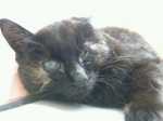 201303132205005e5.jpg