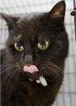 201304061547562ee.jpg