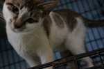20130512205601815.jpg