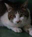 2013051221520641f.jpg