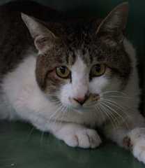 2013051221520641f.jpg