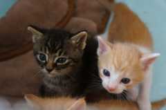 20130512222343de2.jpg
