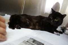 20130612235408cc1.jpg