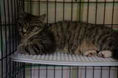 2013070716322909f.jpg
