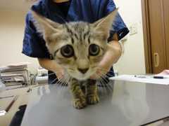 201309041137468bb.jpg