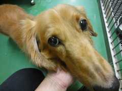 20130916003407611.jpg