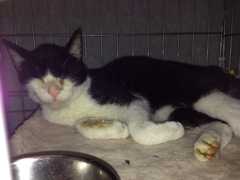 201310140031505ea.jpg
