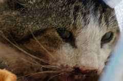 201310200211121f4.jpg