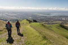 South Bay Hills, Bay Area