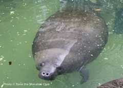 Face to Face With Florida Nature